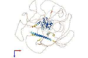 MLLT10 Protein (AA 1-1068) (His tag)