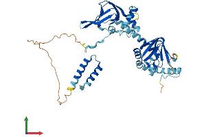 Protein Structure (PS) image for Protein Kinase, CAMP-Dependent, Regulatory, Type II, beta (PRKAR2B) (AA 1-416) protein (His tag) (ABIN7563114)