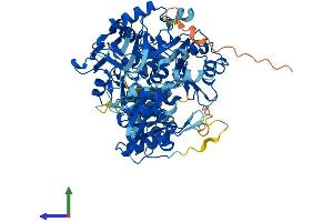 Protein Structure (PS) image for Acyl-CoA Synthetase Short-Chain Family Member 2 (ACSS2) (AA 1-701) protein (His tag) (ABIN7561747)