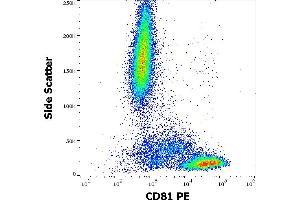Flow cytometry surface staining pattern of human peripheral whole blood stained using anti-human CD81 (M38) PE antibody (20 μL reagent / 100 μL of peripheral whole blood). (CD81 Antikörper  (PE))