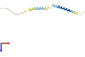 TCEAL7 Protein (AA 1-100) (His tag)