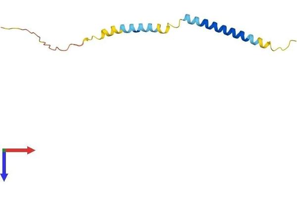 TCEAL7 Protein (AA 1-100) (His tag)