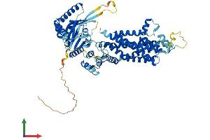 Protein Structure (PS) image for ATP-Binding Cassette, Sub-Family G (WHITE), Member 5 (ABCG5) (AA 1-651) protein (His tag) (ABIN7551873)