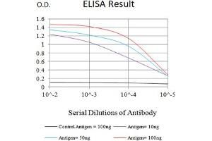Black line: Control Antigen (100 ng),Purple line: Antigen (10 ng), Blue line: Antigen (50 ng), Red line:Antigen (100 ng) (Progesterone Receptor Antikörper  (AA 166-411))