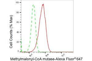 Flow cytometric analysis of Methylmalonyl-CoA mutase expression in HepG2 cells using Methylmalonyl-CoA mutase antibody (ABIN7799396), 1:2,000). (Rekombinanter MUT Antikörper)
