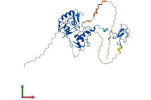 Protein Structure (PS) image for PHD Finger Protein 7 (PHF7) (AA 1-381) protein (His tag) (ABIN7550752)