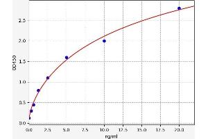 RBM24 ELISA Kit