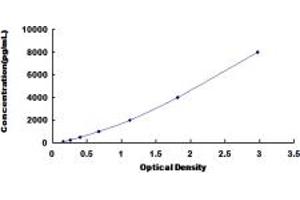 Typical standard curve (LEFTY1 ELISA Kit)