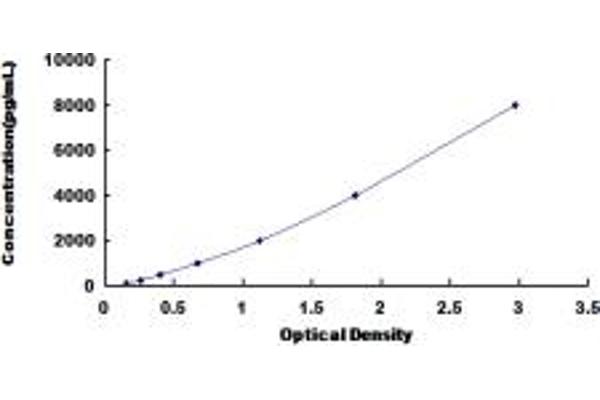 LEFTY1 ELISA Kit