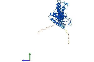 AlphaFold protein structure predicition of Human Recombinant FKBP6 Protein, UniprotID O75344