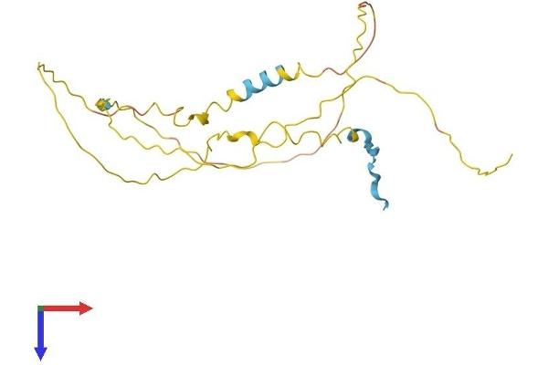 NUCKS1 Protein (AA 1-234) (His tag)
