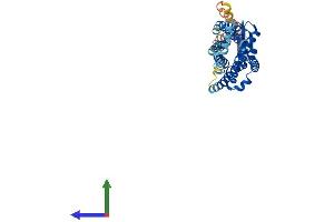 Protein Structure (PS) image for Chemokine (C-C Motif) Receptor 2 (CCR2) (AA 1-373) protein (His tag) (ABIN7563394)