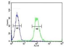 Flow Cytometry (FACS) image for anti-X-Ray Repair Complementing Defective Repair in Chinese Hamster Cells 6 (XRCC6) (AA 228-254) antibody (ABIN3029656)