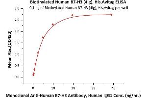 Immobilized Biotinylated Human B7-H3 (4Ig), His,Avitag (ABIN6731235,ABIN6809941) at 1 μg/mL (100 μL/well) on Streptavidin  precoated (0.
