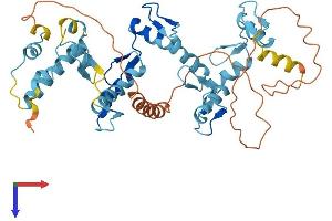 ZNF566 Protein (AA 1-418) (His tag)