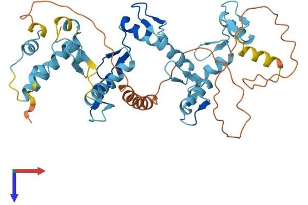 ZNF566 Protein (AA 1-418) (His tag)