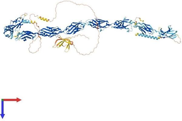 FNDC3A Protein (AA 1-1198) (His tag)