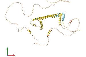 Protein Structure (PS) image for Reticulon 2 (RTN2) (AA 1-471) protein (His tag) (ABIN7562585)