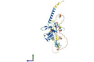Protein Structure (PS) image for D4, Zinc and Double PHD Fingers Family 1 (DPF1) (AA 1-387) protein (His tag) (ABIN7565142)