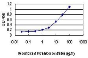 ELISA image for anti-C-Src tyrosine Kinase (CSK) (AA 1-101) antibody (ABIN598630) (CSK Antikörper  (AA 1-101))