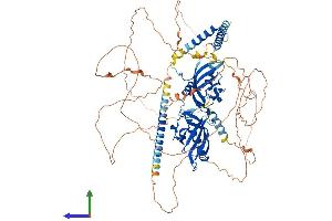 Protein Structure (PS) image for Neuronal PAS Domain Protein 2 (NPAS2) (AA 1-816) protein (His tag) (ABIN7563551)