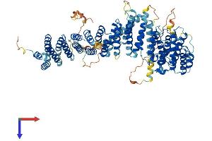 Protein Structure (PS) image for EFR3 Homolog B (EFR3B) (AA 1-817) protein (His tag) (ABIN7564167)