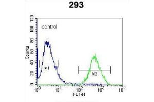Flow Cytometry (FACS) image for anti-CAAX Prenyl Protease 2 (RCE1) antibody (ABIN3001522)