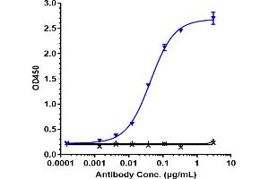 Immobilized human IL 8 His at 2 μg/mL can bind Anti-CXCL8 / IL-8 Reference Antibody (HuMax-IL8), EC50=0. (Rekombinanter IL-8 Antikörper)