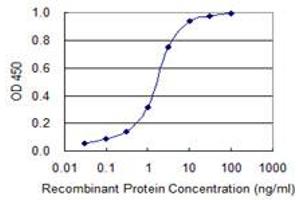 Detection limit for recombinant GST tagged LMTK3 is 0. (LMTK3 Antikörper  (AA 1151-1250))