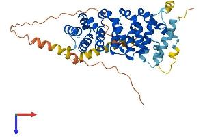 ARMCX3 Protein (AA 1-379) (His tag)
