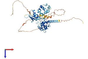 GABPA Protein (AA 1-454) (His tag)