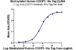 ELISA image for CUB Domain Containing Protein 1 (CDCP1) (AA 30-666) protein (His-Avi Tag,Biotin) (ABIN7274295)