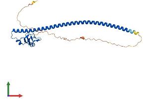 Protein Structure (PS) image for Cyclin B1 Interacting Protein 1 (CCNB1IP1) (AA 1-276) protein (His tag) (ABIN7562103)
