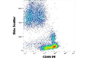 Flow cytometry surface staining pattern of human peripheral whole blood stained using anti-human CD99 (3B2/TA8) PE antibody (10 μL reagent / 100 μL of peripheral whole blood). (CD99 Antikörper  (PE))