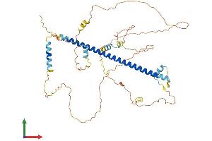Protein Structure (PS) image for cAMP Responsive Element Binding Protein 3-Like 3 (CREB3L3) (AA 1-479) protein (His tag) (ABIN7560090)