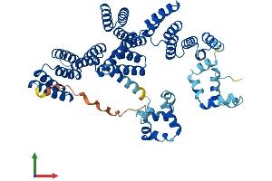 AlphaFold protein structure predicition of Mouse Recombinant Stip1 Protein, UniprotID Q60864