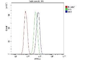 Flow Cytometry analysis of SiHa cells using anti-MR1 antibody (ABIN6719587).