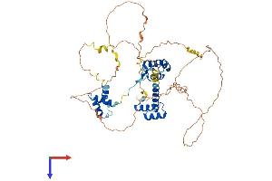 PAX7 Protein (AA 1-503) (His tag)
