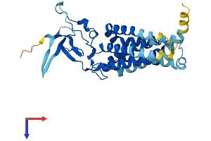JKAMP Protein (AA 1-311) (His tag)