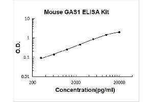 Growth Arrest-Specific 1 (GAS1) ELISA Kit