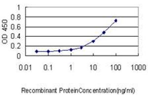 Detection limit for recombinant GST tagged ISGF3G is approximately 0. (IRF9 Antikörper  (AA 1-393))