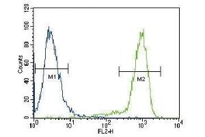 TrkA antibody flow cytometric analysis of HeLa cells (green) compared to a negative control (blue). (TRKA Antikörper  (AA 654-683))