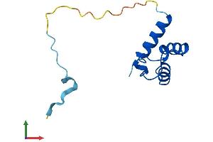 Protein Structure (PS) image for Polymerase (DNA-Directed), delta 4, Accessory Subunit (POLD4) (AA 1-107) protein (His tag) (ABIN7560674)