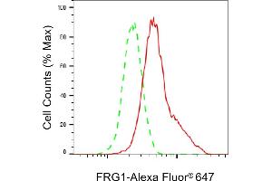 Flow cytometric analysis of FRG1 expression in HeLa cells using FRG1 antibody (ABIN7798662), 1:2,000). (Rekombinanter FRG1 Antikörper)