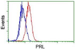Image no. 1 for anti-Prolactin (PRL) antibody (ABIN1500431) (Prolactin Antikörper)