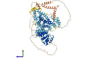 AlphaFold protein structure predicition of Human Recombinant SLF1 Protein, UniprotID Q9BQI6