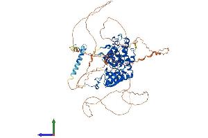 Protein Structure (PS) image for Dual-Specificity tyrosine-(Y)-phosphorylation Regulated Kinase 1A (DYRK1A) (AA 1-763) protein (His tag) (ABIN7563910)