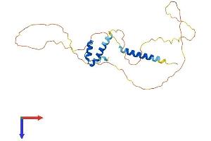 Emerin Protein (EMD) (AA 1-254) (His tag)