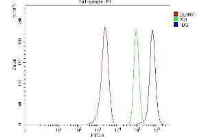 Flow Cytometry analysis of MCF-7 cells using anti-TDG antibody (ABIN7600107). (TDG Antikörper  (AA 15-370))
