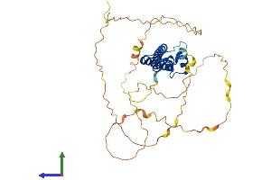 Protein Structure (PS) image for Neurogenic Differentiation 6 (NEUROD6) (AA 1-337) protein (His tag) (ABIN7563328)